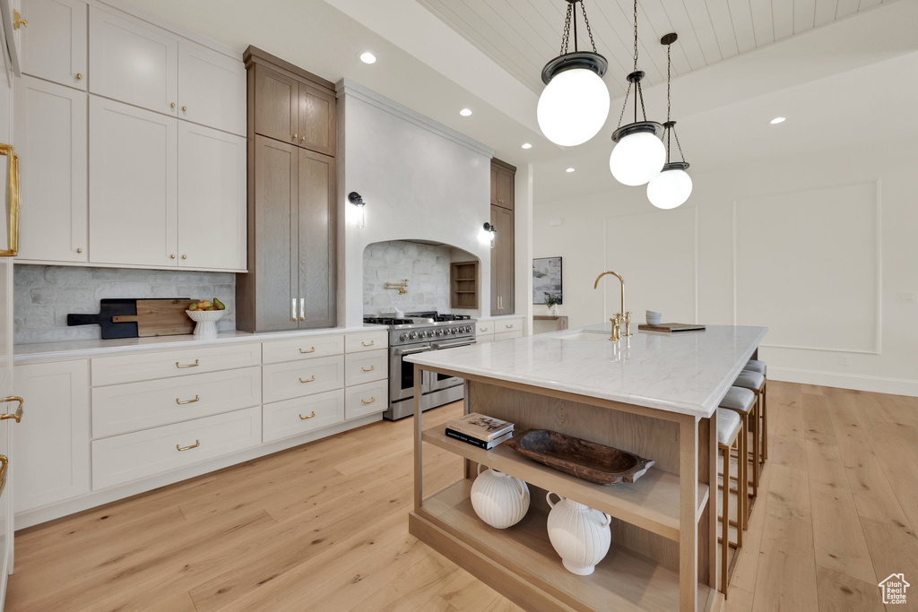 Kitchen with high end stove, open shelves, a sink, tasteful backsplash, and light wood-style floors
