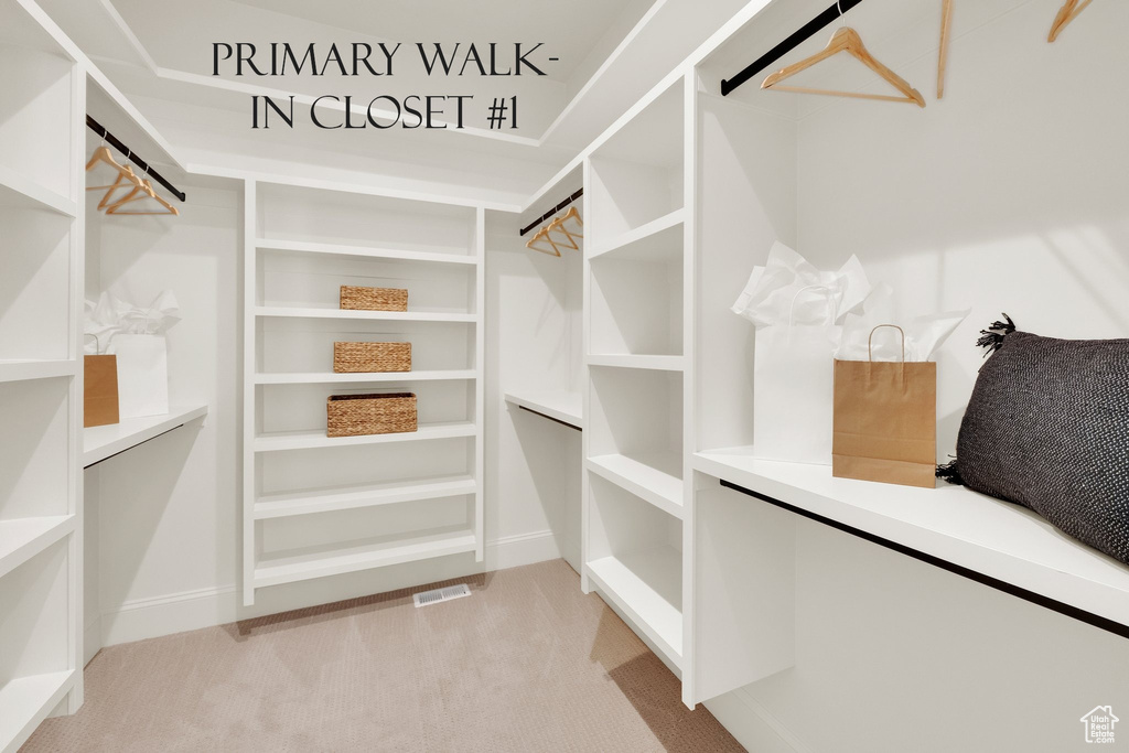 Spacious closet featuring light colored carpet