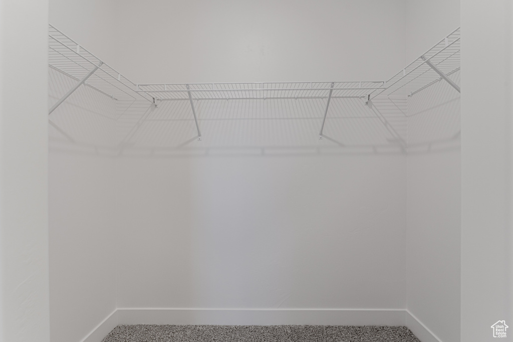 Spacious closet featuring carpet floors