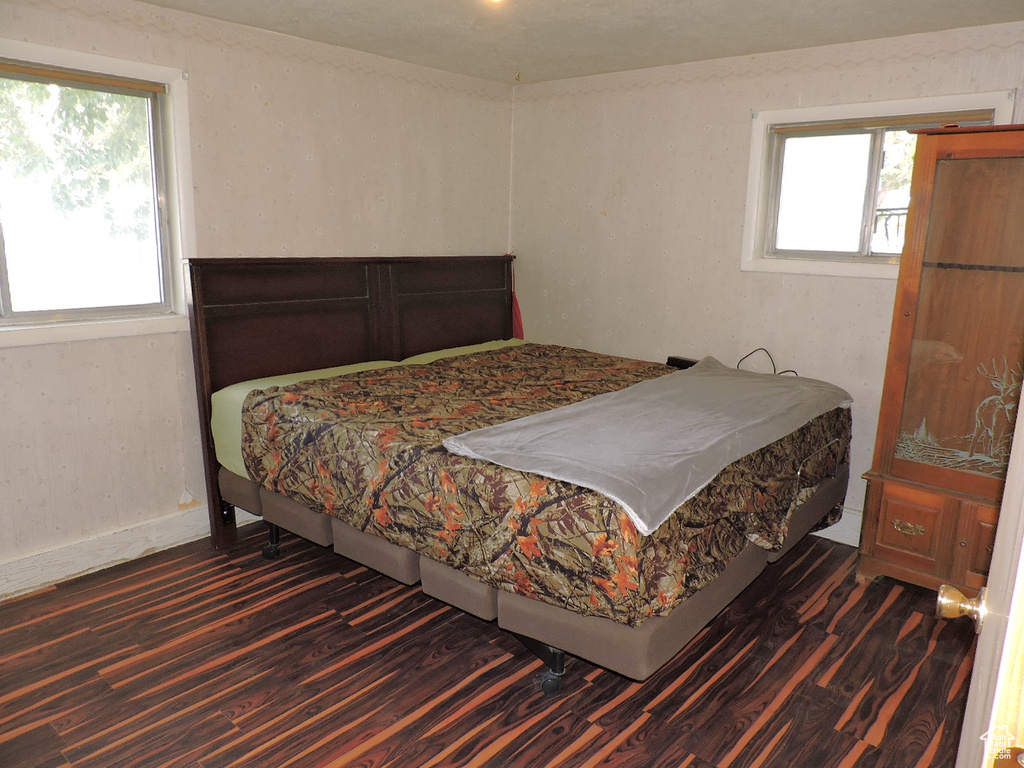 Bedroom with dark hardwood / wood-style floors and multiple windows