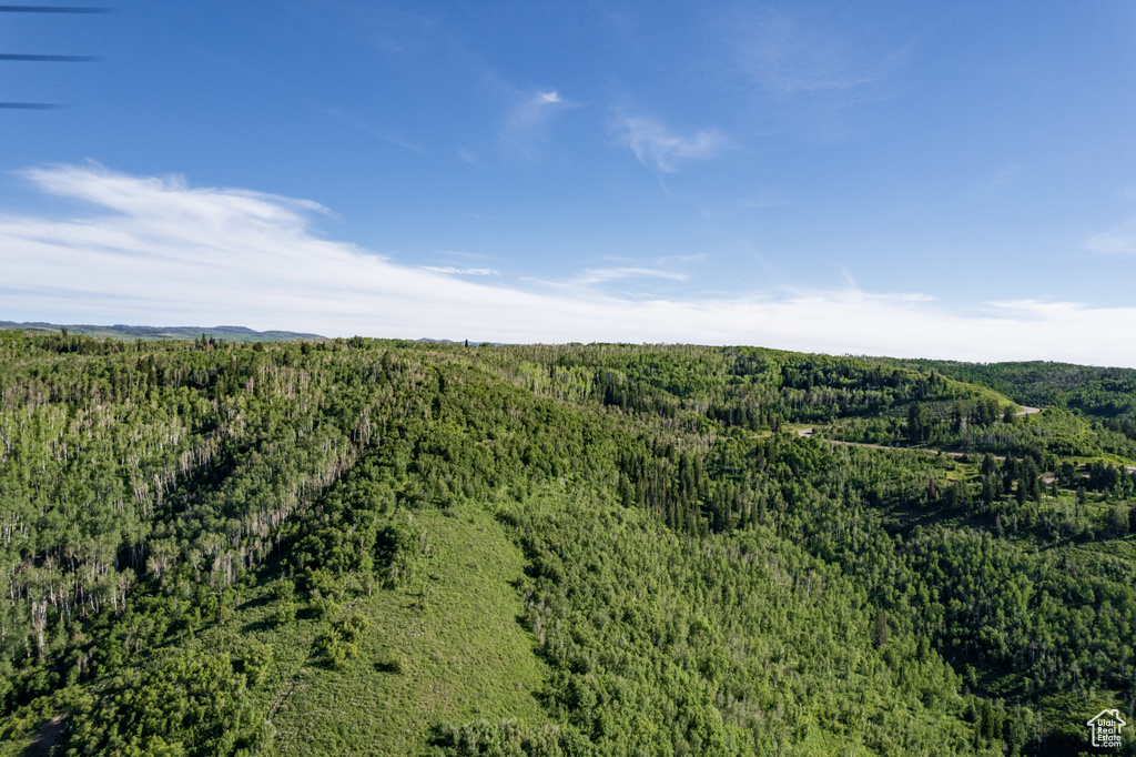 Birds eye view of property featuring a forest view