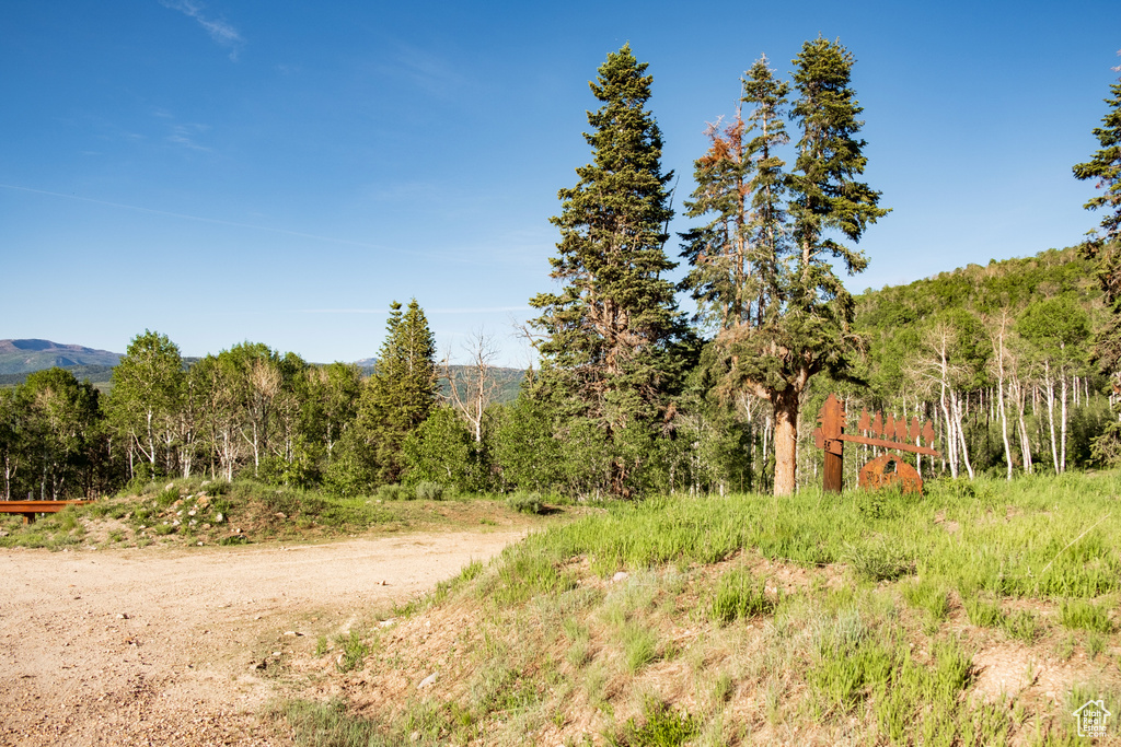 View of landscape featuring a forest view