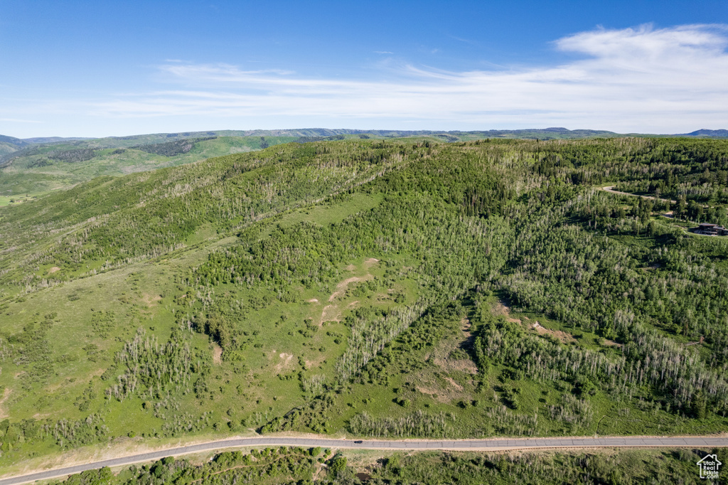 Bird\'s eye view with a mountain view and a wooded view