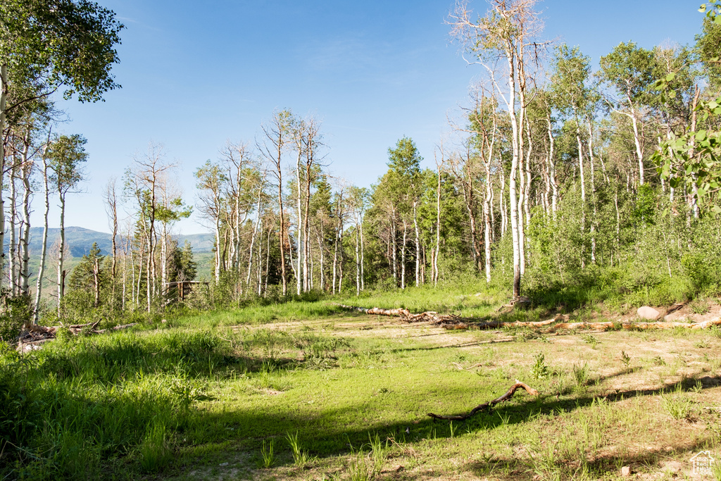 View of nature