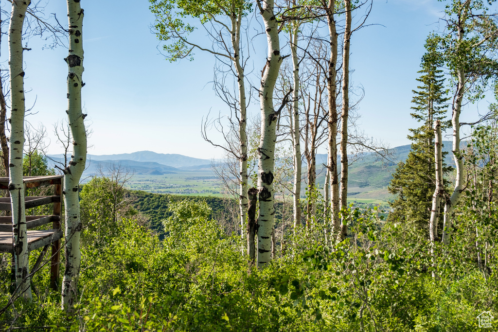 Mountain view