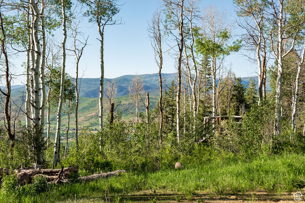 View of mountain feature