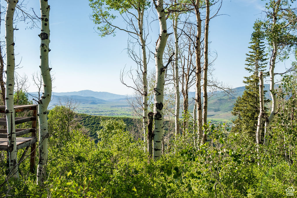 View of mountain feature