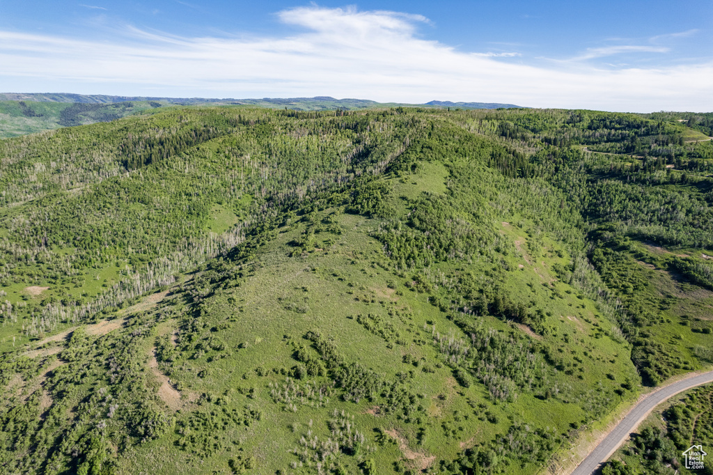 Birds eye view of property with a wooded view and a mountain view