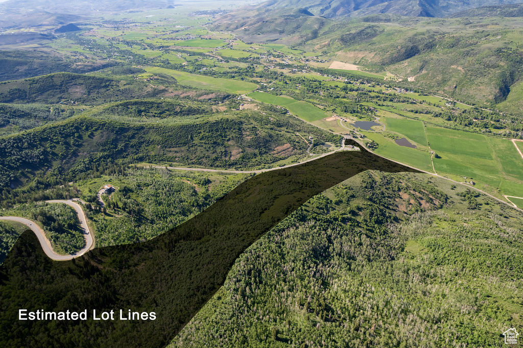 View of bird's eye view