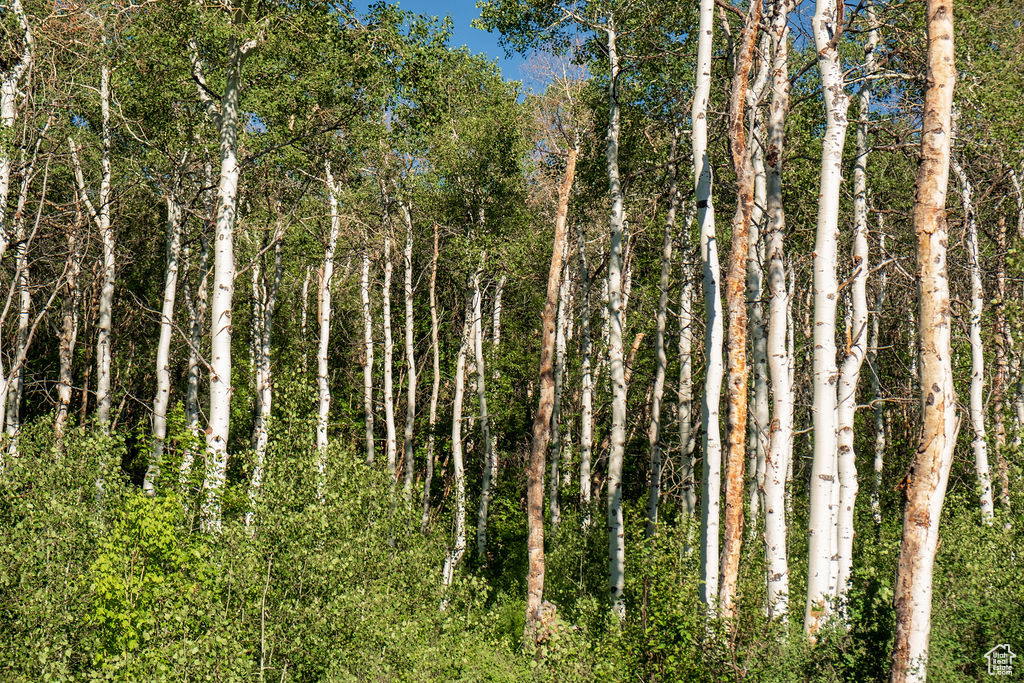 View of mother earth's splendor