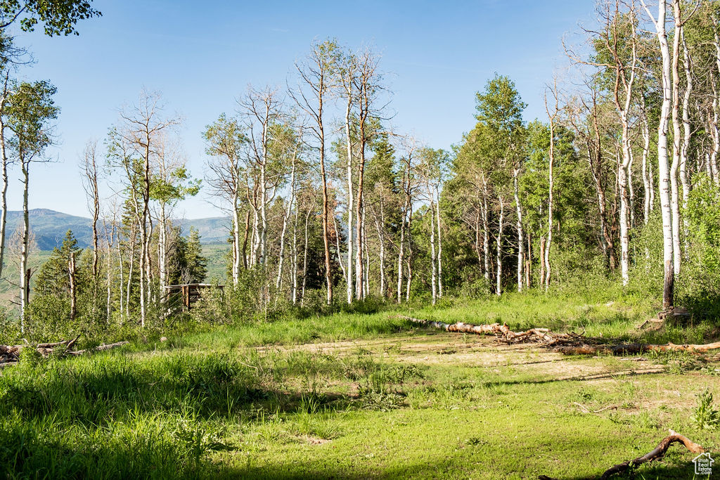 View of mother earth's splendor with a mountain view