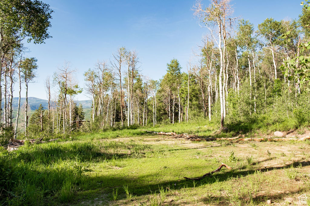 View of local wilderness featuring a mountain view