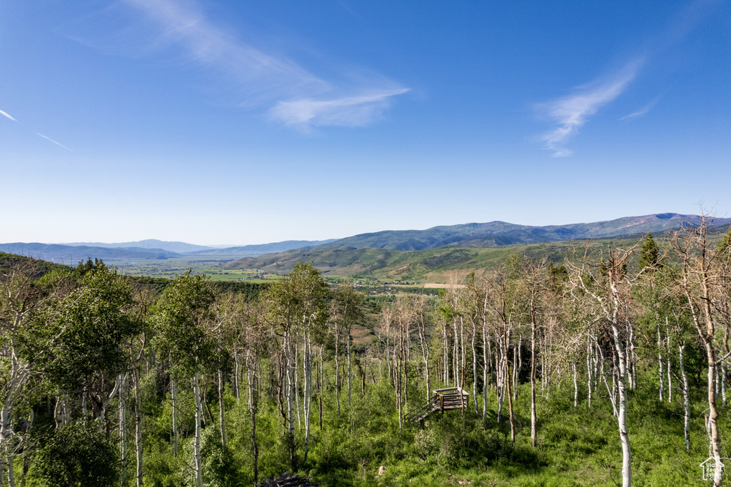 View of mountain feature