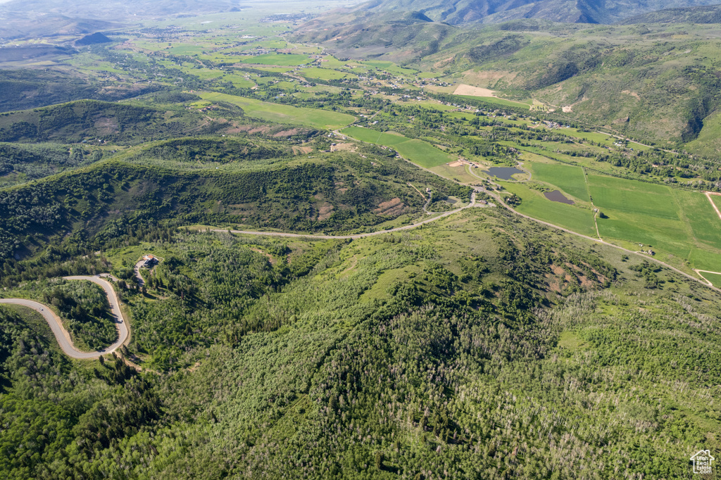 Aerial view featuring a mountain view and a view of trees