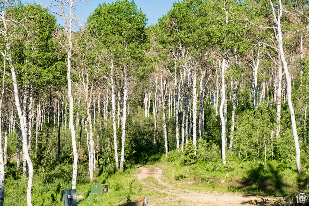 View of landscape featuring a forest view