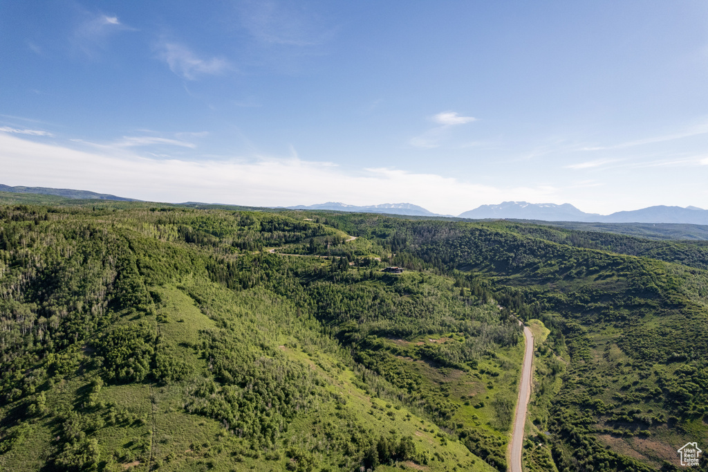 Mountain view with a forest view