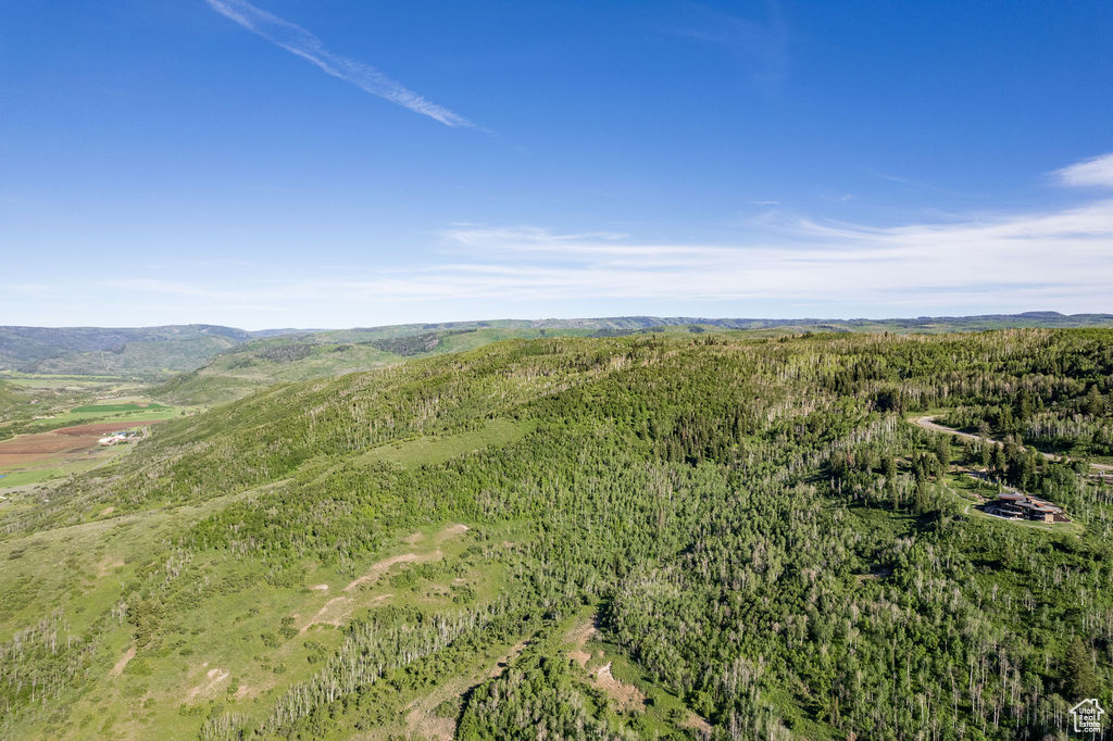 View of bird's eye view