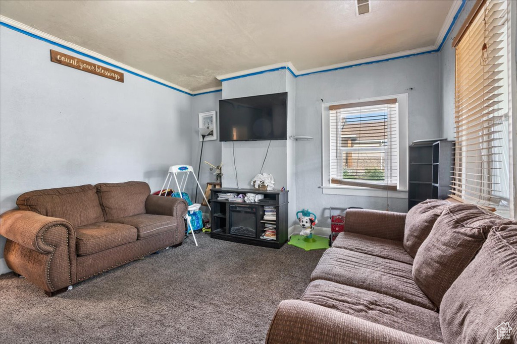 Carpeted living room featuring crown molding