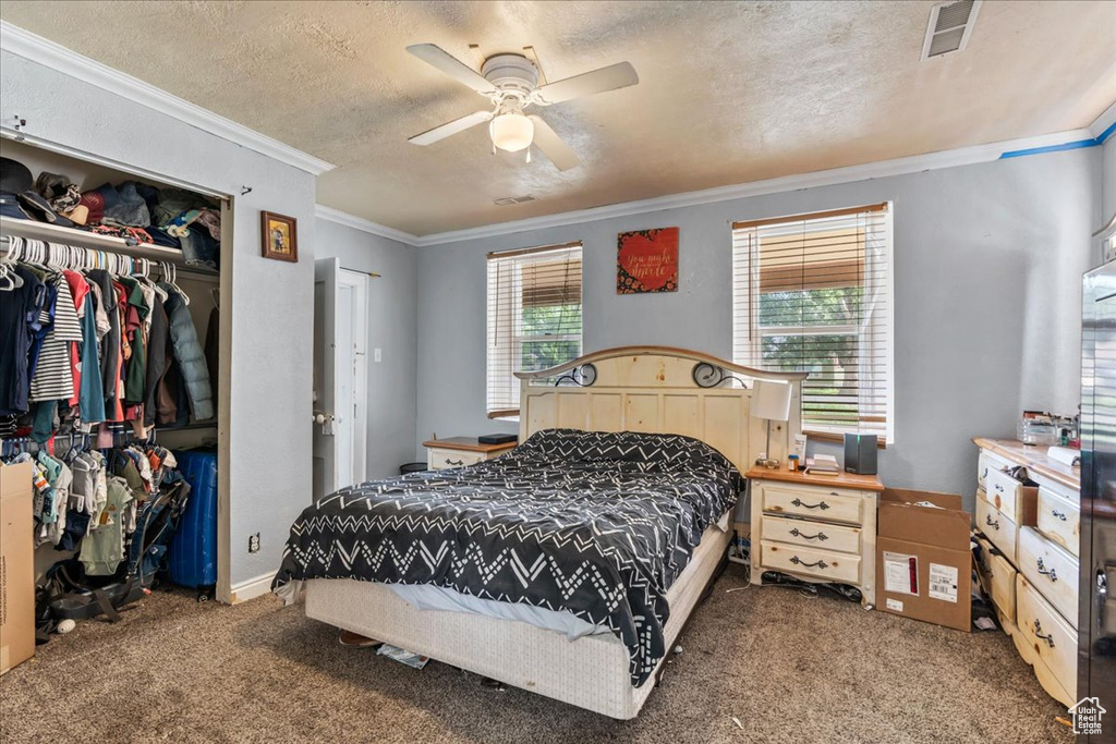 Bedroom with carpet floors, multiple windows, and ceiling fan