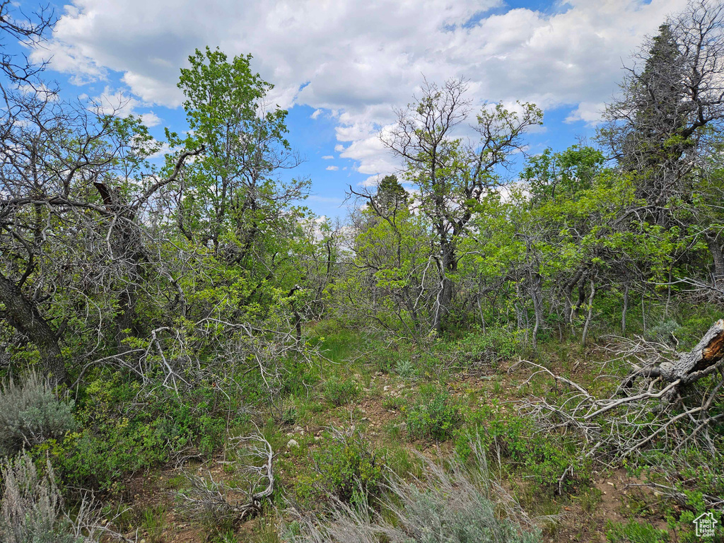 View of mother earth's splendor