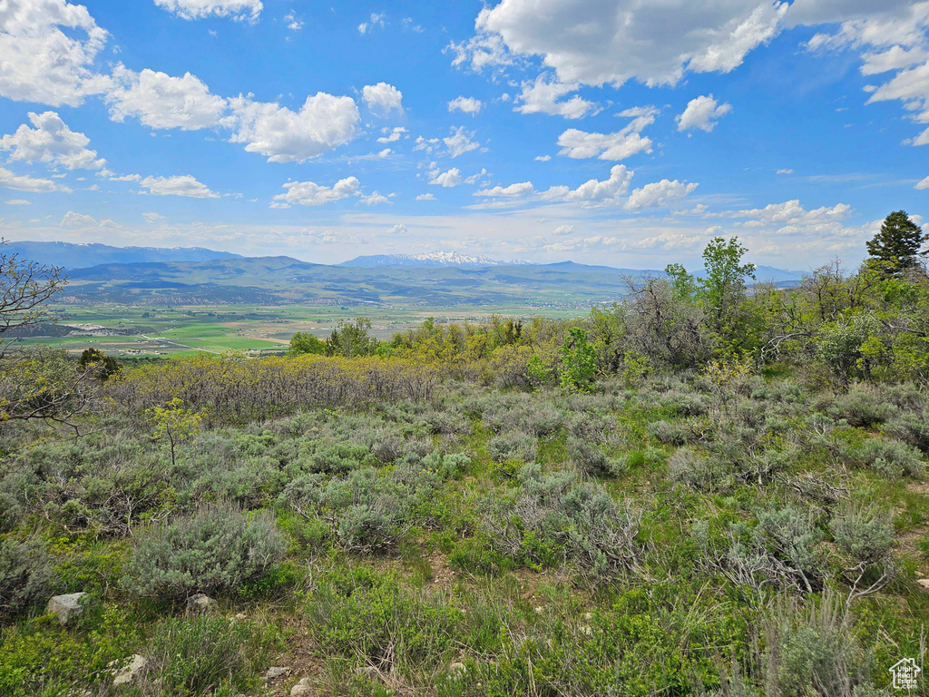 View of mountain view