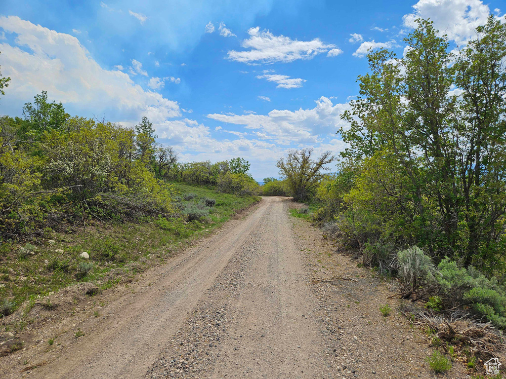 View of road