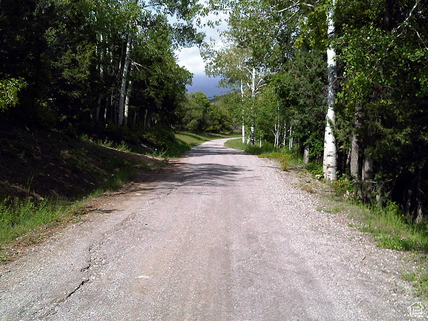 View of street