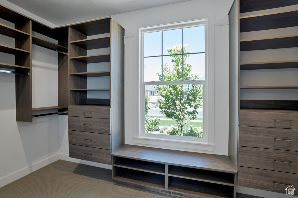 Spacious closet featuring dark carpet