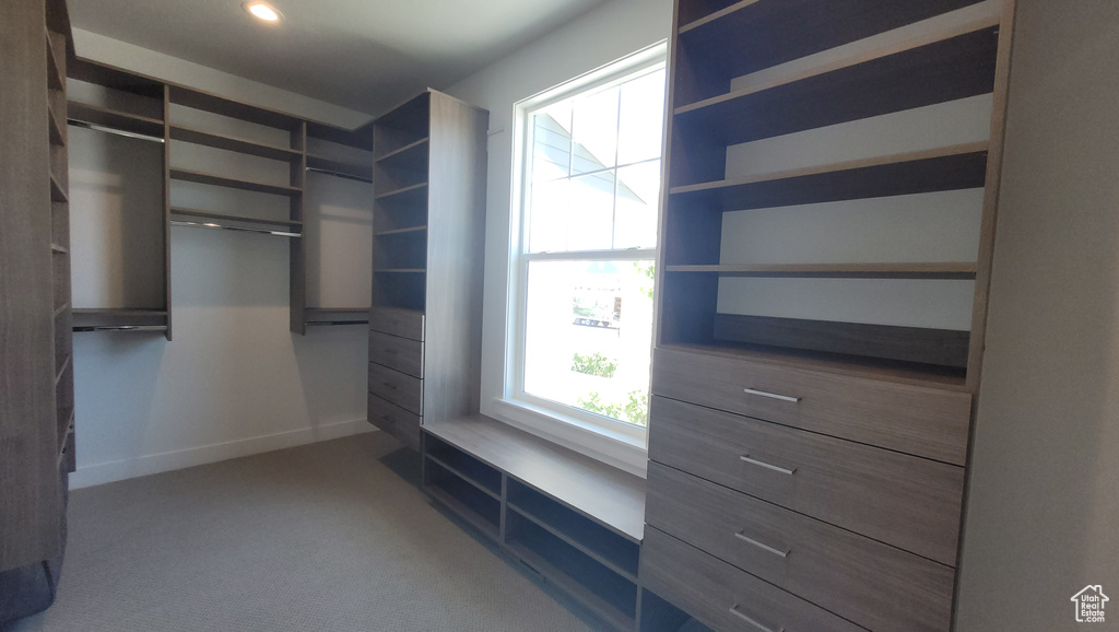 Spacious closet with carpet floors