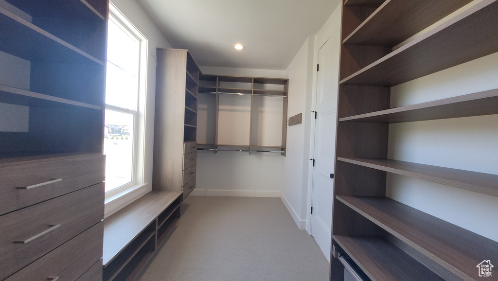 Spacious closet featuring carpet