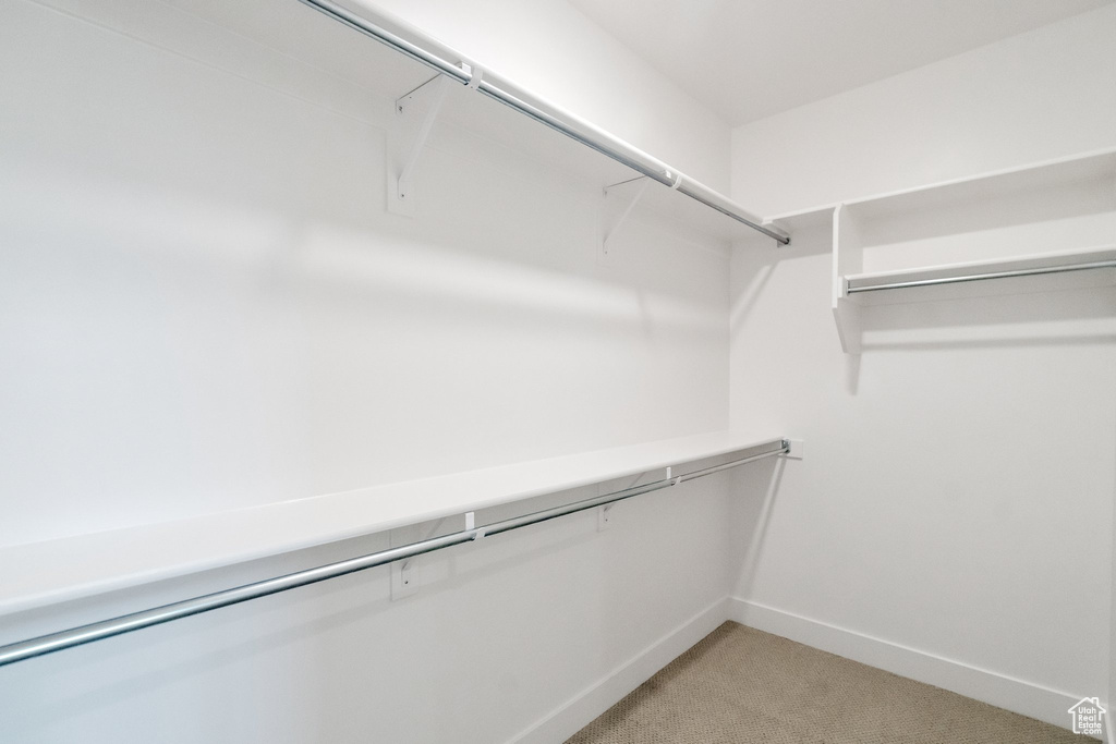 Walk in closet featuring carpet floors