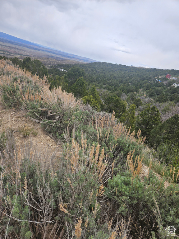 View of mountain feature