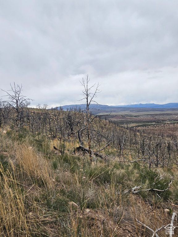 Property view of mountains with a rural view