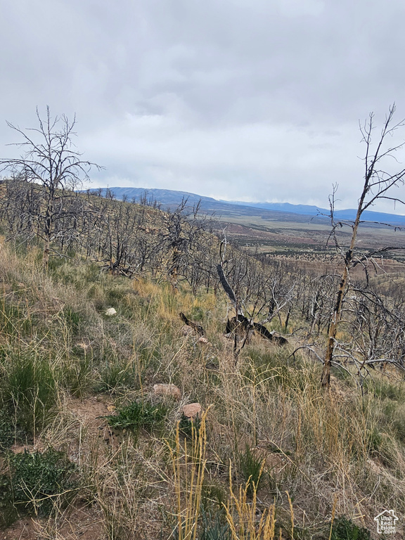 Property view of mountains featuring a rural view