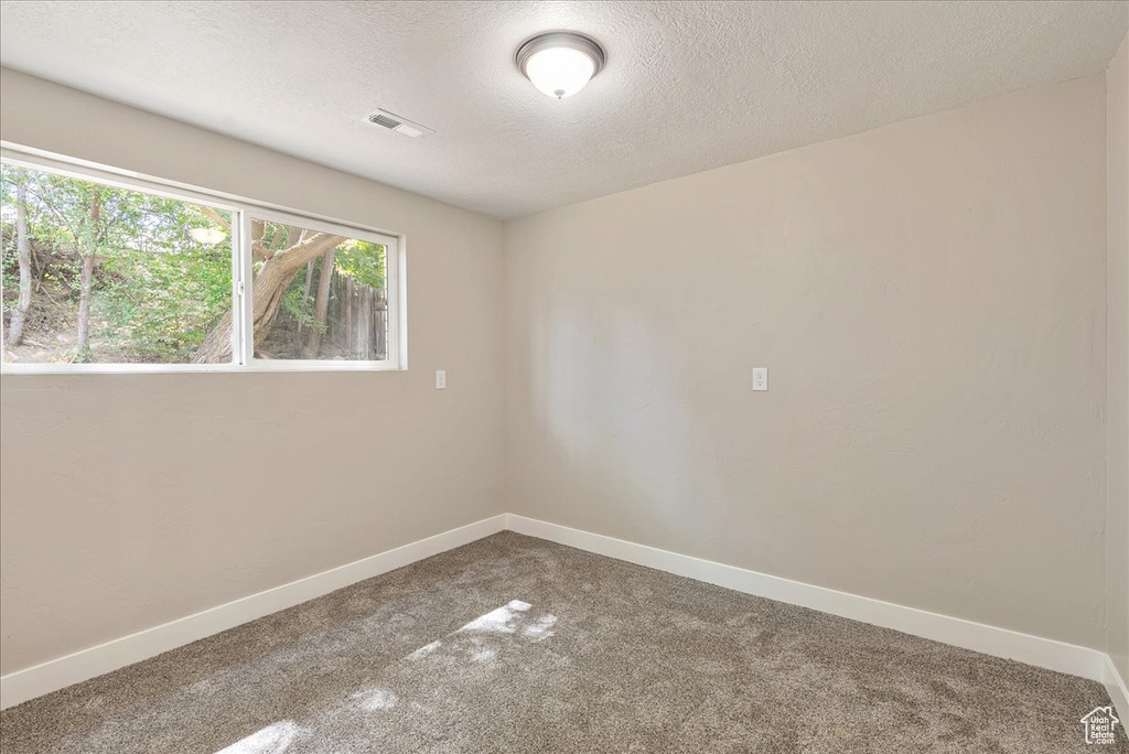 Spare room featuring a textured ceiling and carpet floors