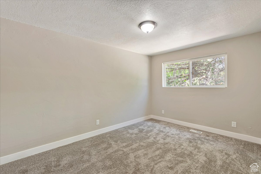 Carpeted spare room with a textured ceiling