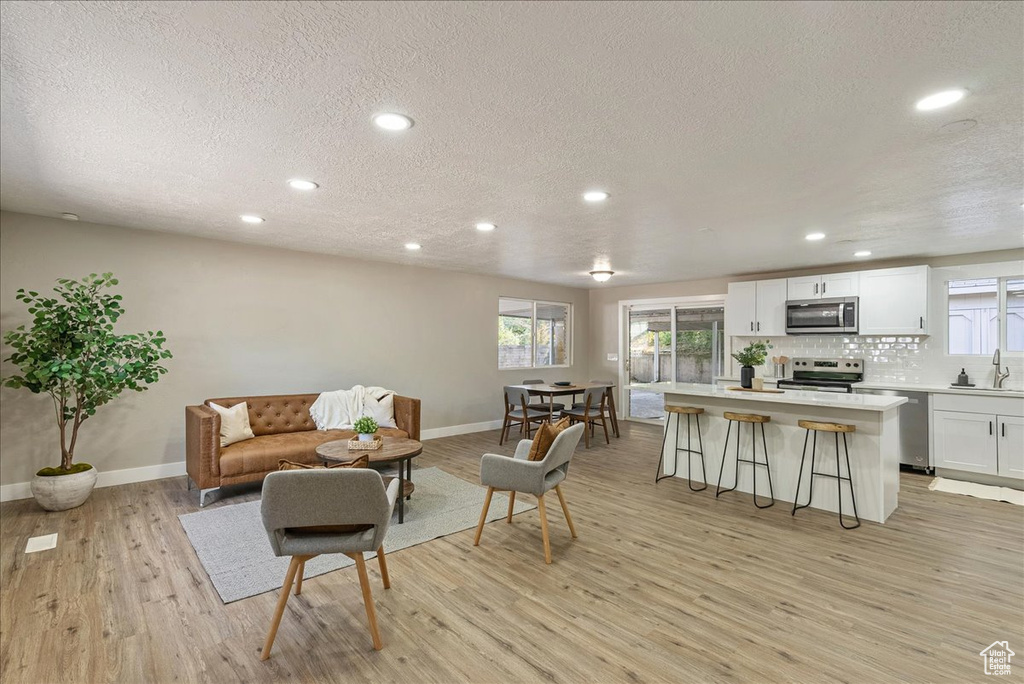 Living room with light hardwood / wood-style floors, a wealth of natural light, and sink