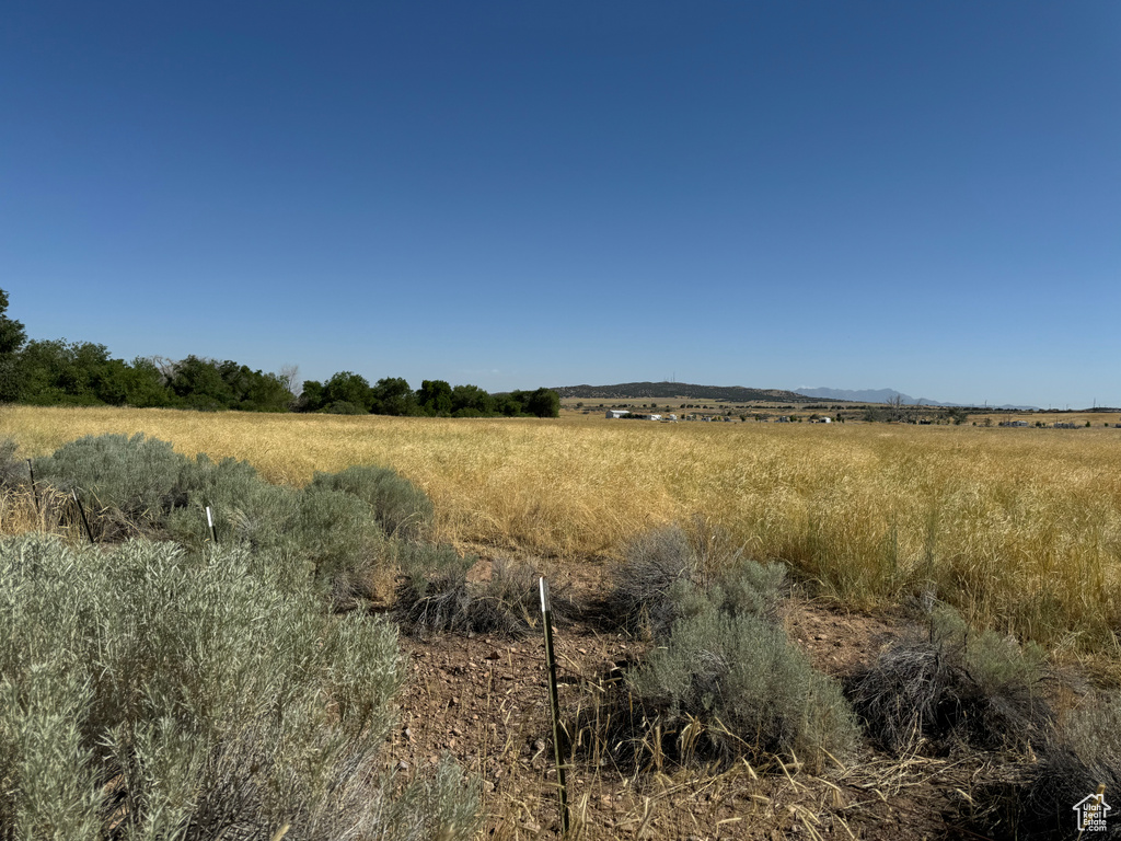 View of nature with a rural view