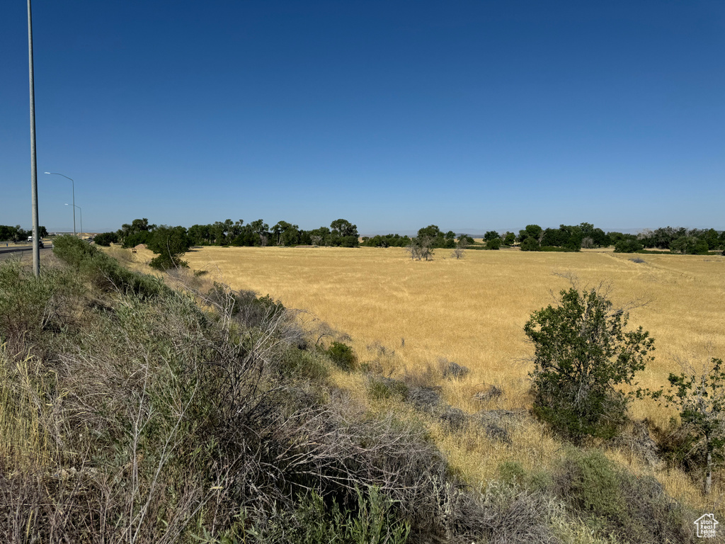 View of local wilderness featuring a rural view