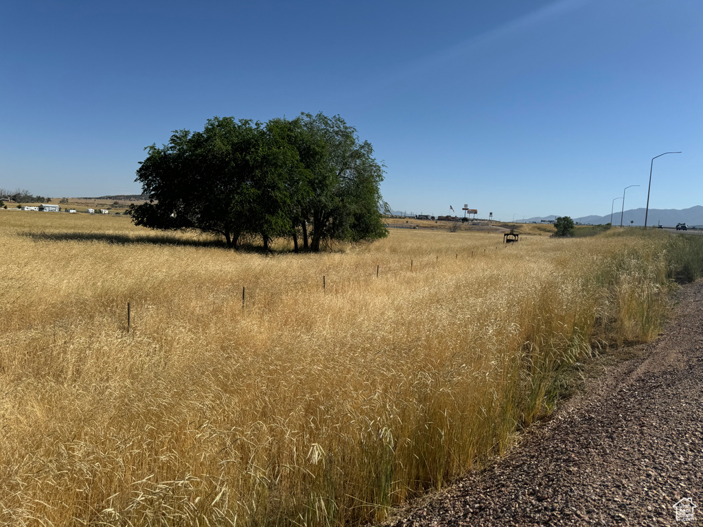 View of local wilderness featuring a rural view