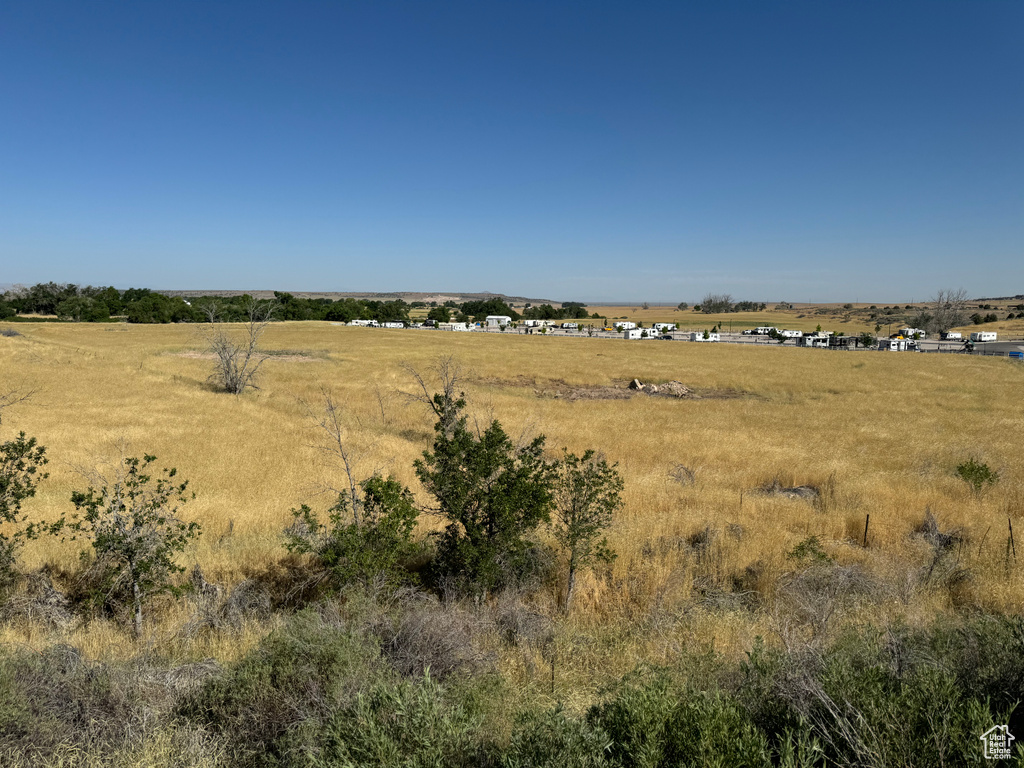 View of local wilderness with a rural view