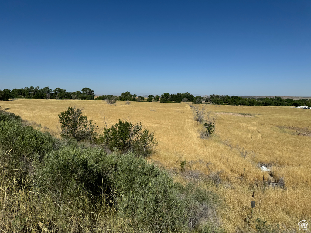 View of local wilderness with a rural view