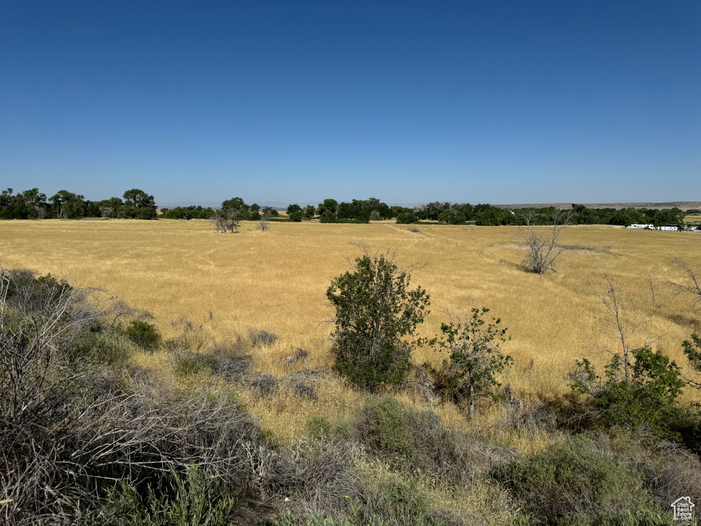 View of nature with a rural view