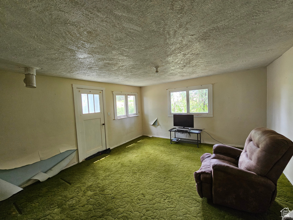 Living area with a textured ceiling and dark colored carpet