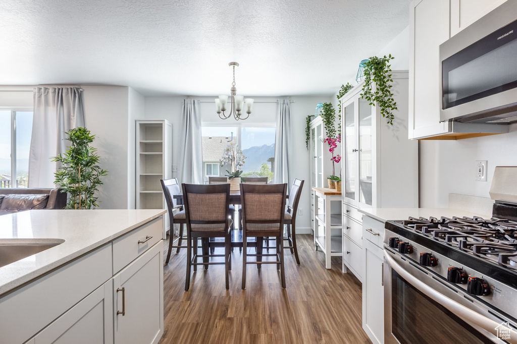 Kitchen with stainless steel appliances, a healthy amount of sunlight, hardwood / wood-style floors, and white cabinetry