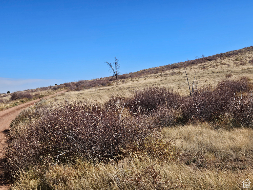 View of local wilderness with a rural view