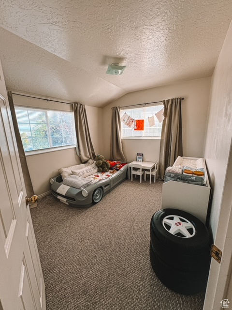 Bedroom featuring a textured ceiling, lofted ceiling, and carpet floors