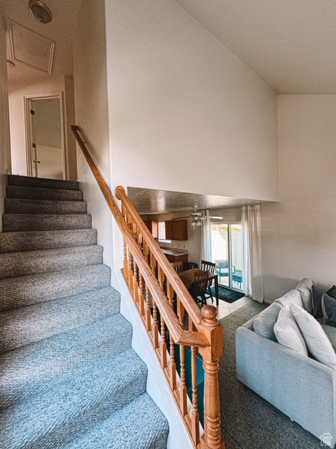 Staircase featuring carpet, ceiling fan, and high vaulted ceiling