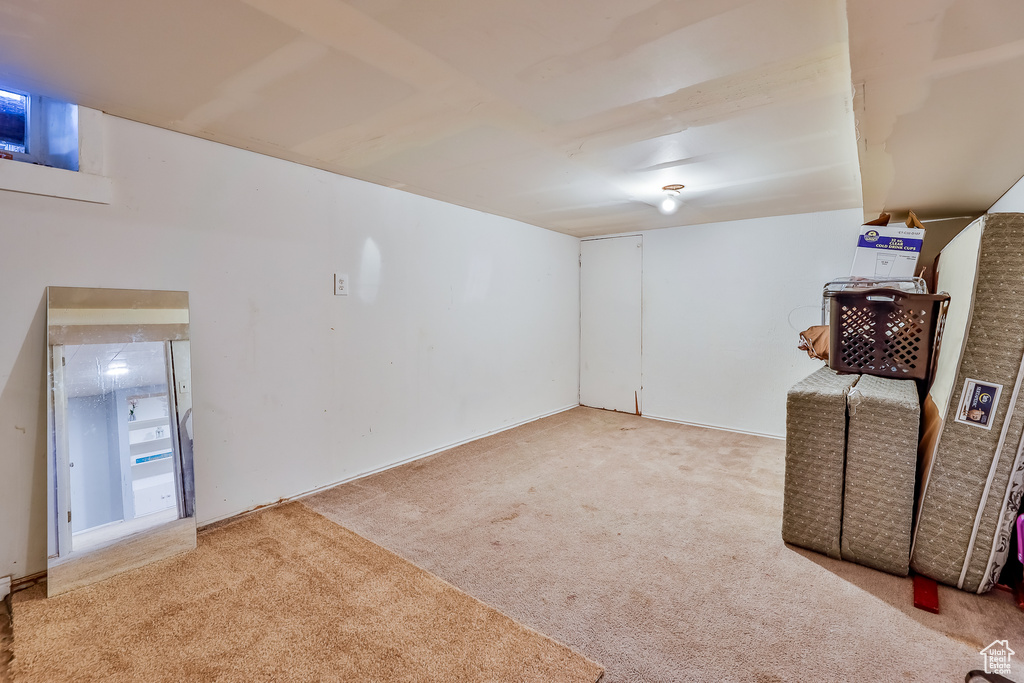 Basement with light carpet