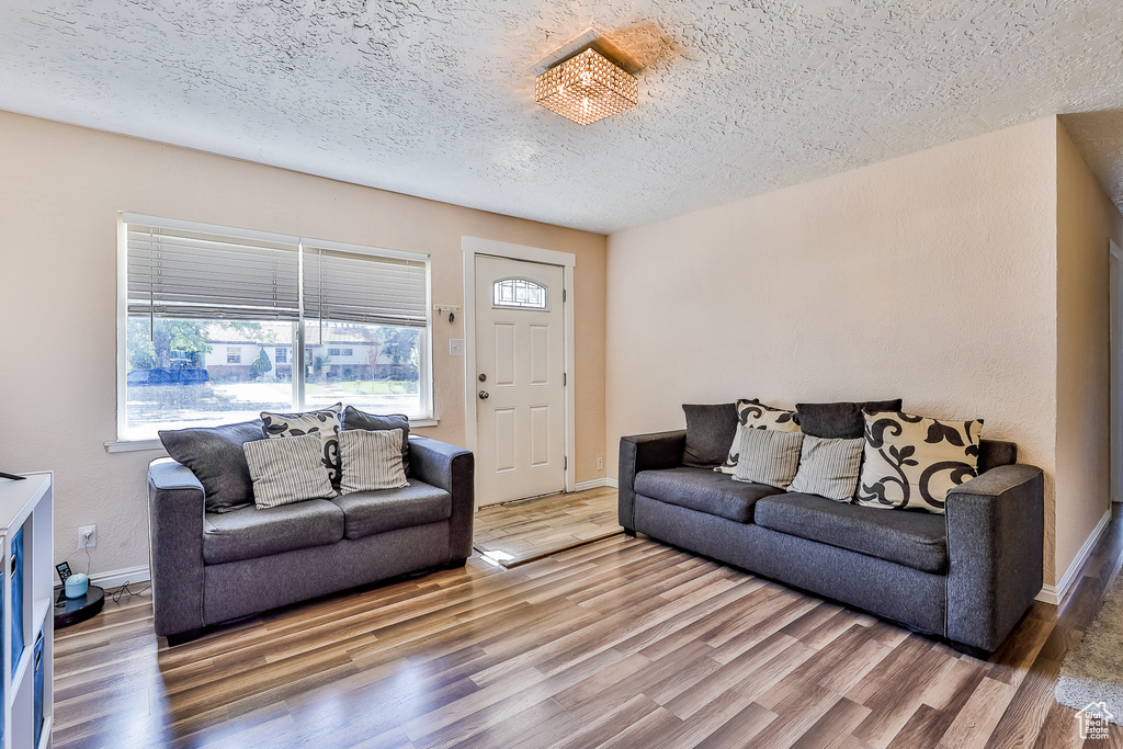 Living room featuring a textured ceiling and hardwood / wood-style floors